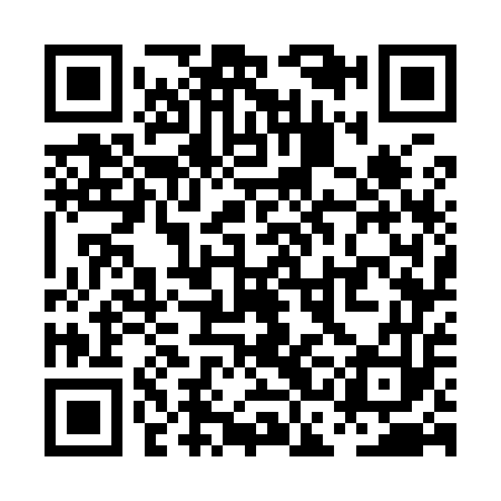 QR code for PCG953