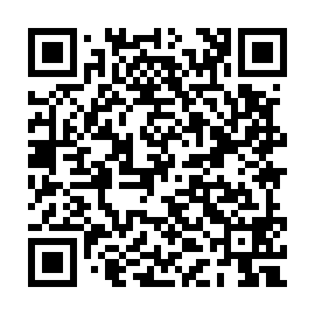 QR code for PDI598