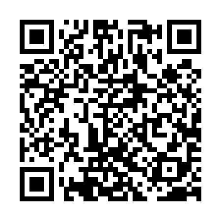 QR code for PDT598