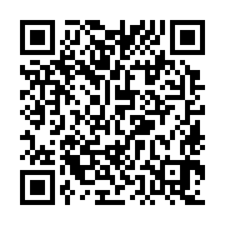 QR code for PEO383