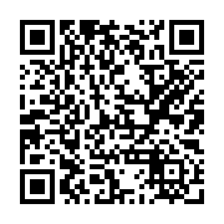 QR code for PFN391