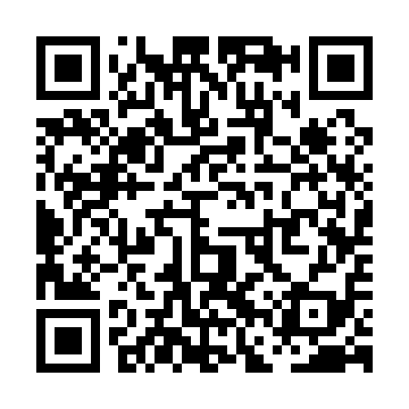 QR code for PFS119