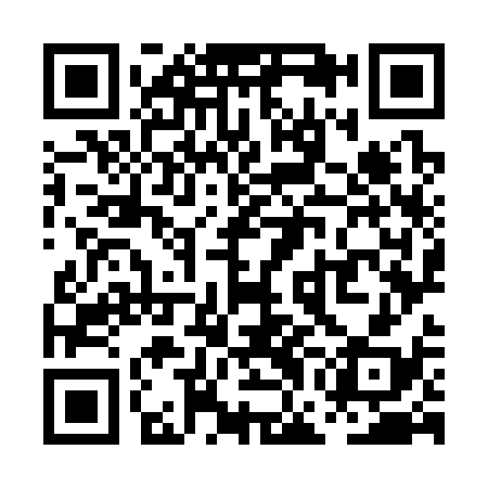 QR code for PGO338