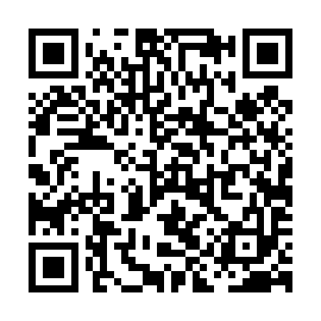QR code for PIT493