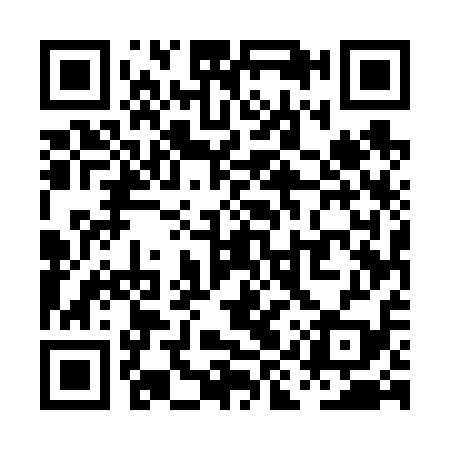 QR code for PIU619