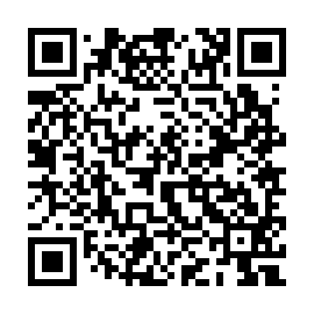 QR code for PKJ393