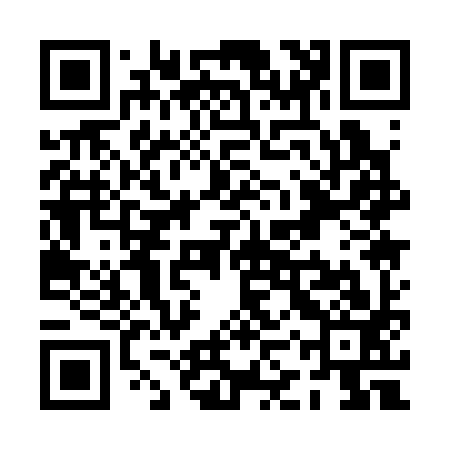 QR code for PKQ393