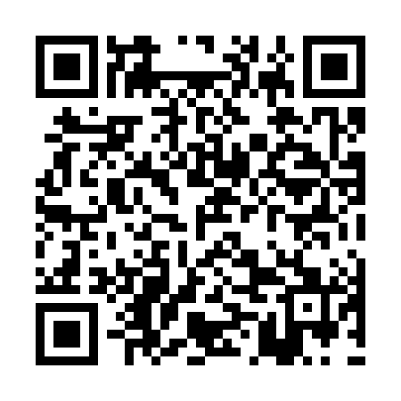QR code for PML381