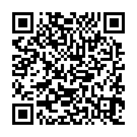 QR code for PMT381