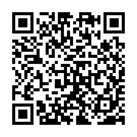 QR code for PNS390
