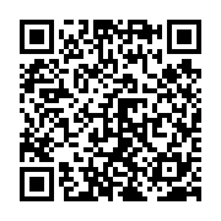 QR code for PNS635