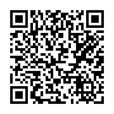 QR code for PNT384