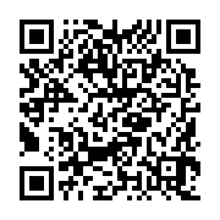 QR code for POI382