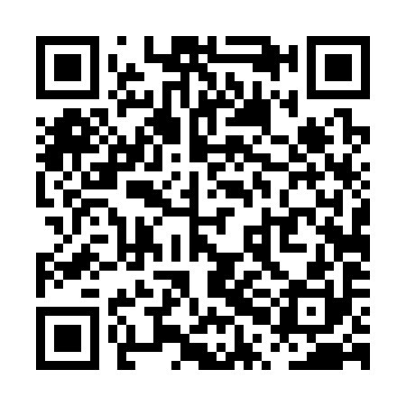 QR code for PPD390