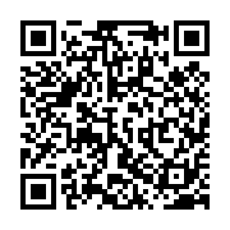 QR code for PPF411