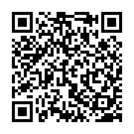 QR code for PPG198