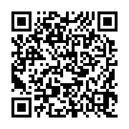 QR code for PPI382