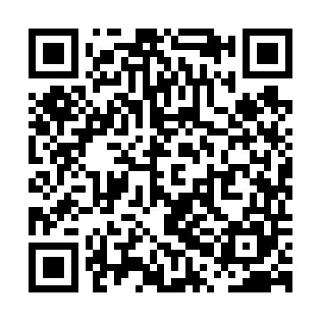 QR code for PPI645
