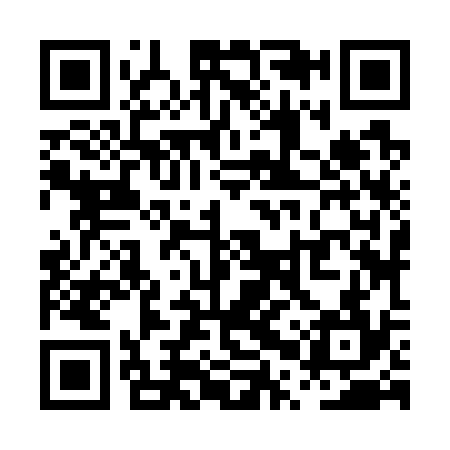 QR code for PPZ734