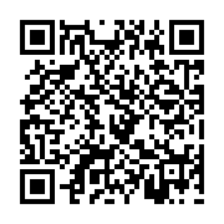 QR code for PTZ938