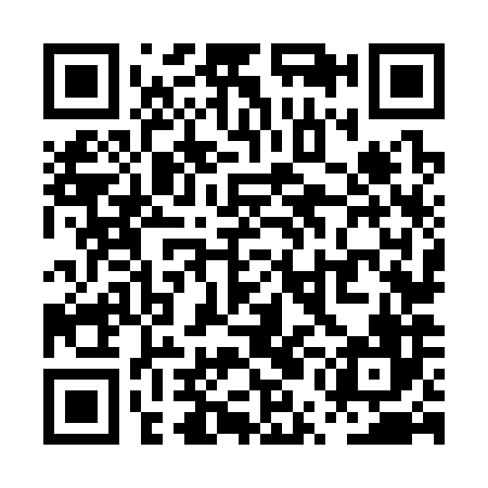 QR code for PUN386