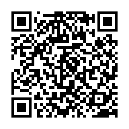 QR code for PYN229