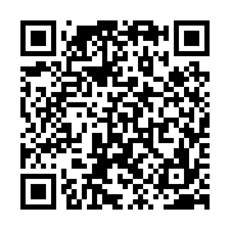 QR code for PYS236