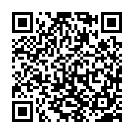 QR code for PZH374