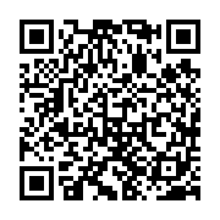 QR code for PZH651
