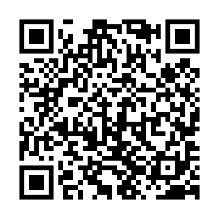 QR code for PZN491