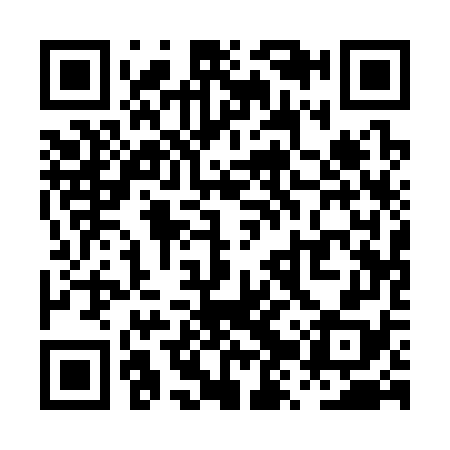 QR code for PZQ378
