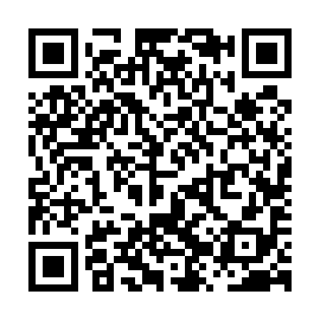 QR code for PZV598