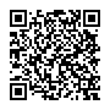 QR code for PZY020