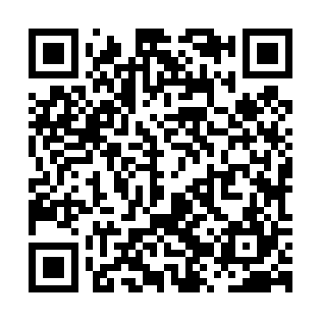 QR code for PZZ424