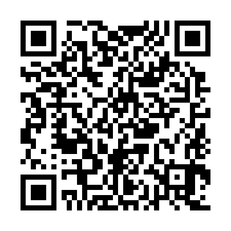 QR code for QAN383