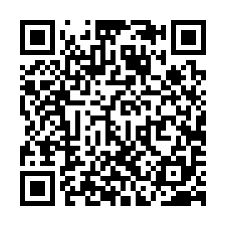 QR code for QCT395