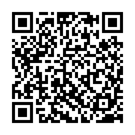 QR code for QCY295