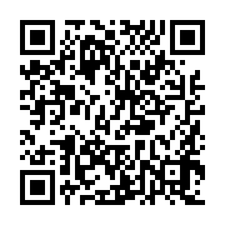 QR code for QDZ498