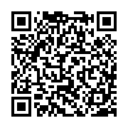 QR code for QEX095