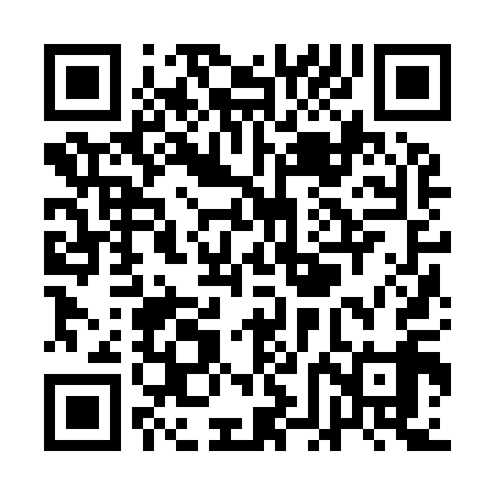 QR code for QFJ919