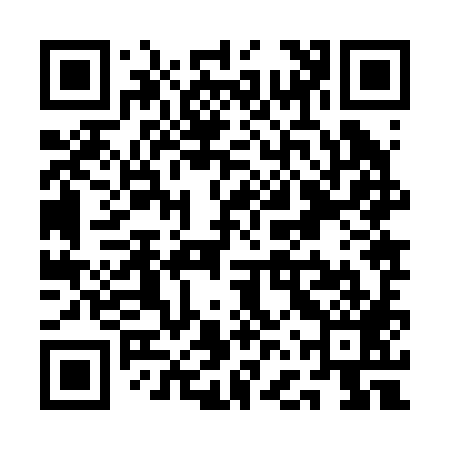 QR code for QFZ289