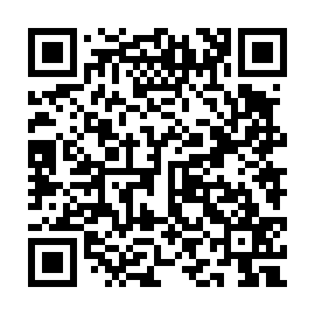 QR code for QIN437