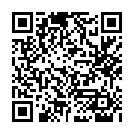 QR code for QIN451
