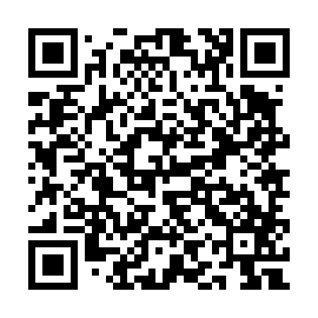 QR code for QIZ487