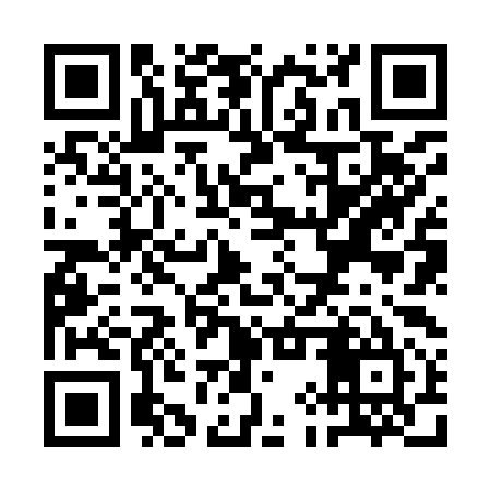 QR code for QIZ995