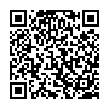 QR code for QJL551