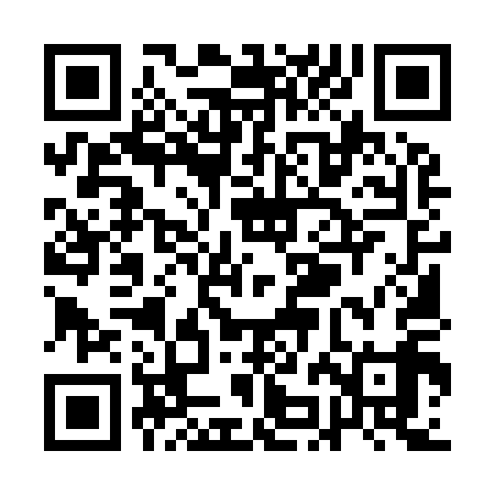 QR code for QJM919