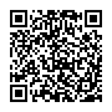 QR code for QLB397