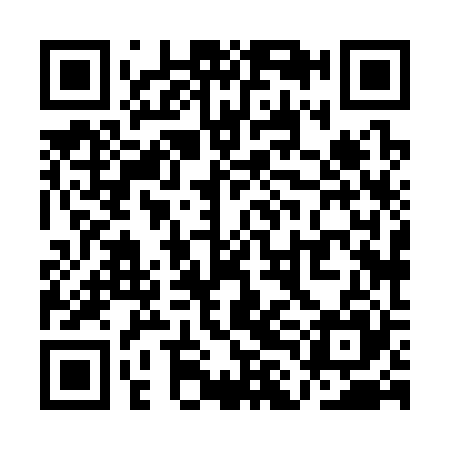 QR code for QLH325