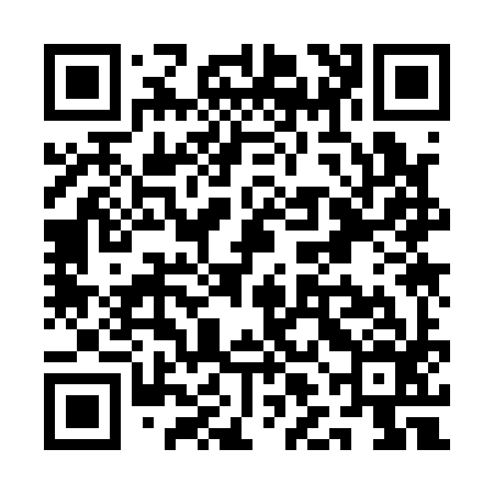 QR code for QLK196